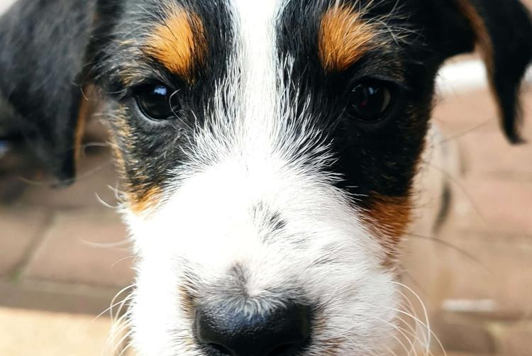 Hotel Jurata | Jurata | 20