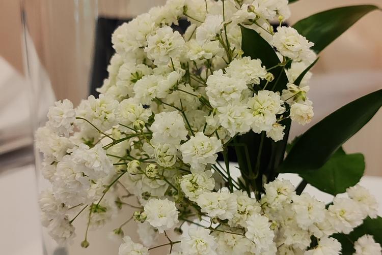 Hotel Jurata | Jurata | 22