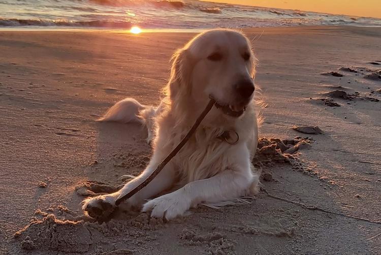 Hotel Jurata | Jurata | 17