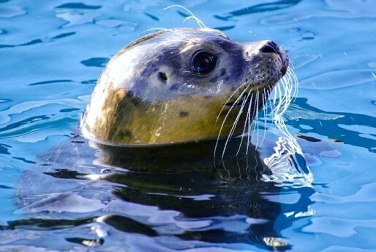 Hotel Jurata | Jurata | 11