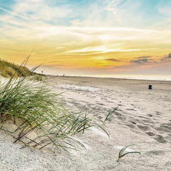 Oferta dla całej Rodziny