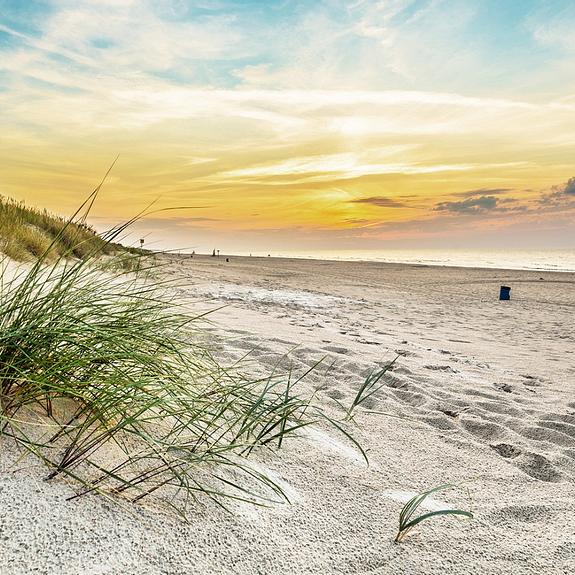 Oferta dla całej Rodziny