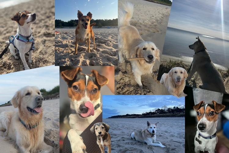 Hotel Jurata | Jurata | 5